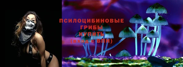 mdpv Балахна